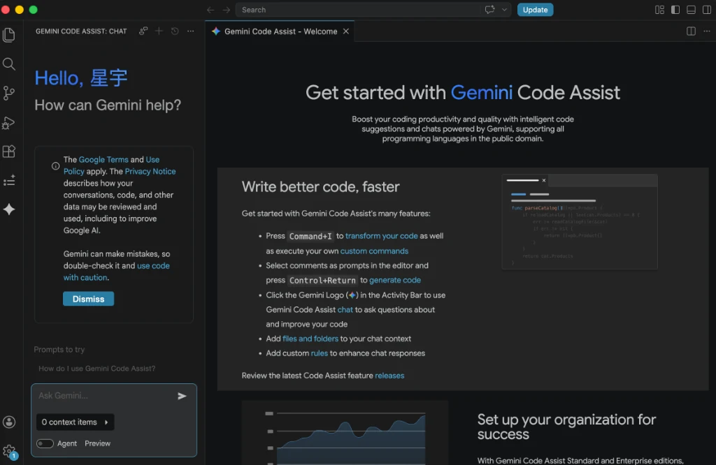 Gemini Code Assist 登录成功后的聊天界面